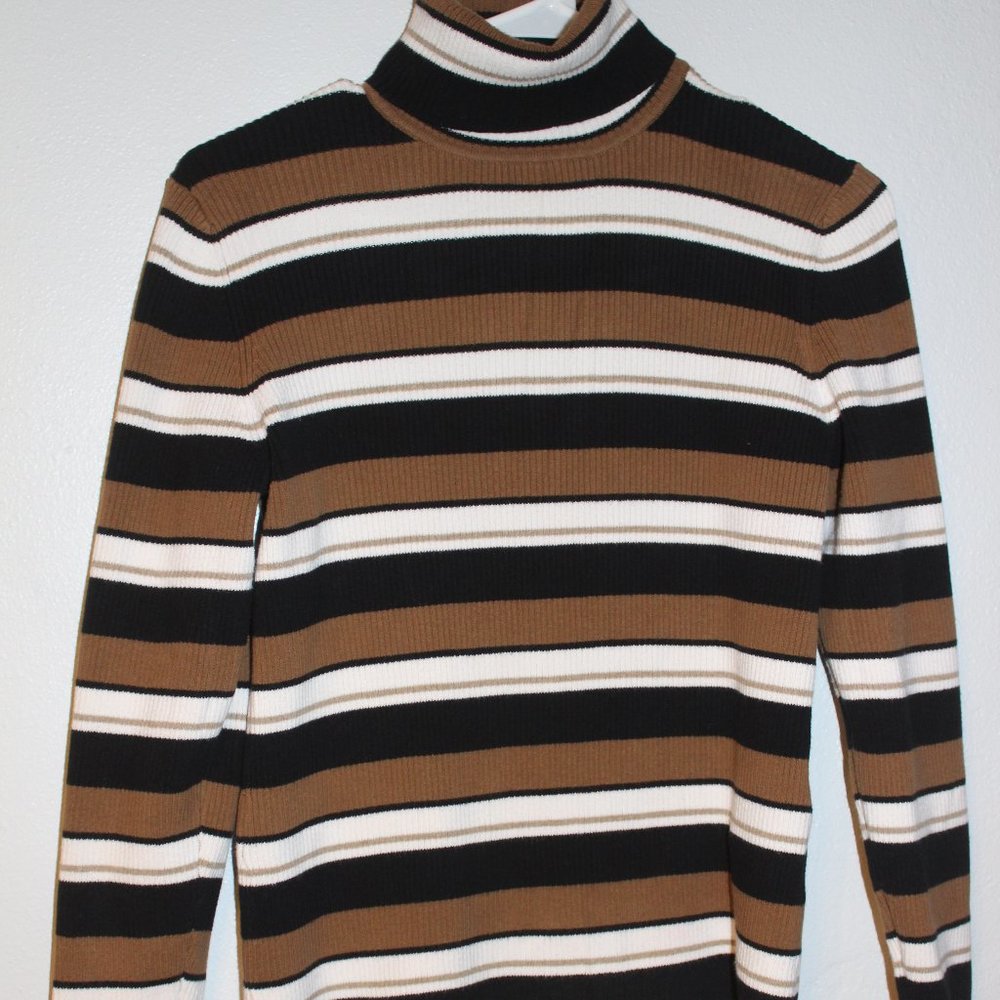 Petite Sophisticate Turtleneck